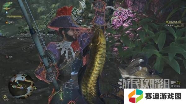 怪物猎人荒野黄金鱼怎么钓    钓黄金鱼位置一览图片6