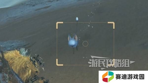 怪物猎人荒野沙野流星位置在哪   沙野流星位置